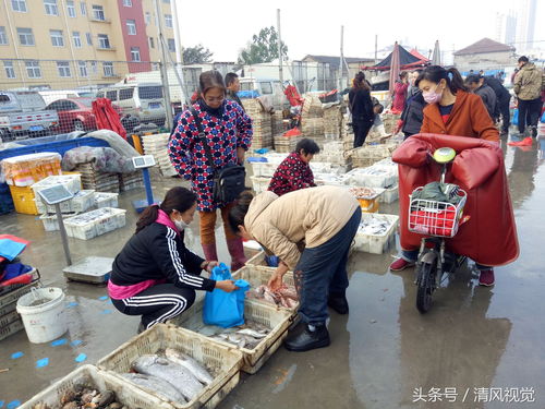 沈阳早市做什么赚钱的？