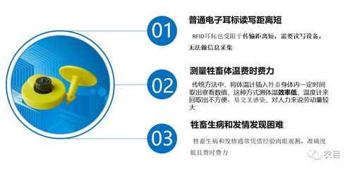 2021年养殖什么赚钱，把握时代机遇，挖掘养殖新潜力