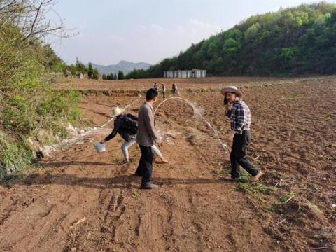 农田变身创富源，探索多元化农田利用模式