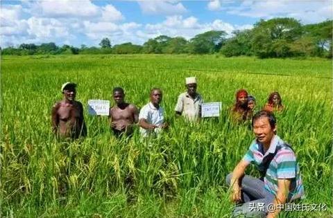 非洲商业机会，揭秘非洲老板如何赚钱