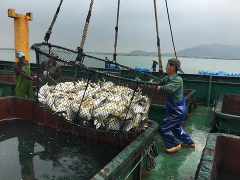 湛江商业机遇，探寻当地赚钱的秘诀与前景