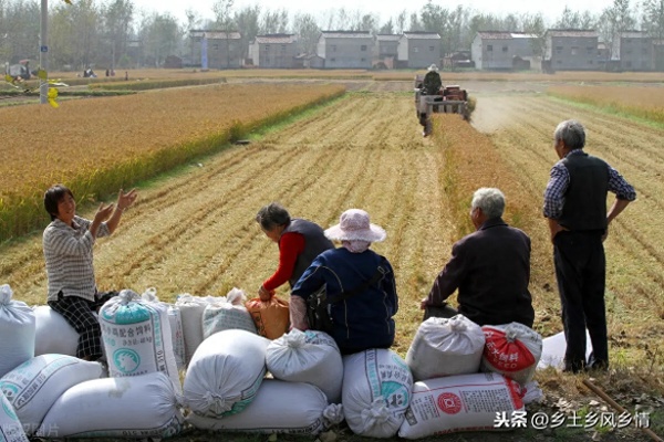 农民如何选择最赚钱的副业