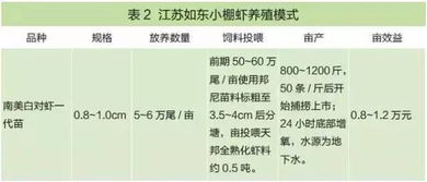 疫情之后，如何在家赚钱养家？1200字深度解析与探讨