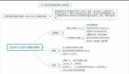 做品牌运营，赚钱最快！