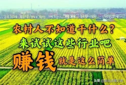 农村创业新方向，如何通过现代农业实现暴利赚钱