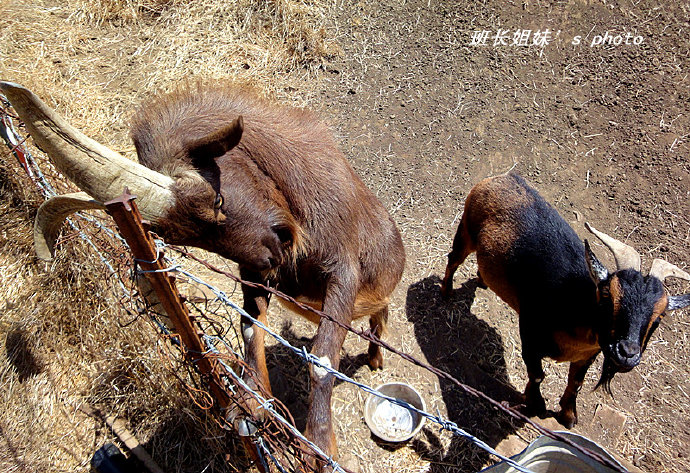 在家里做什么绘画赚钱