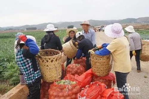 农村不投资做什么赚钱？