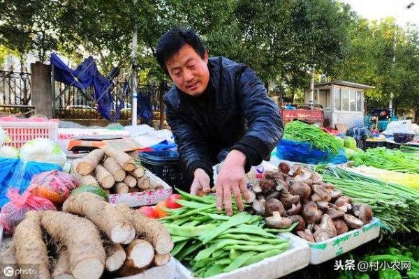 最近农村人做什么赚钱？