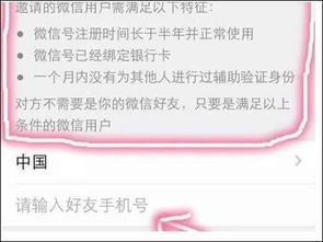 解封后做什么能赚钱？