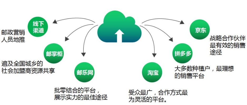 荔枝网站的多元化盈利模式及其发展策略