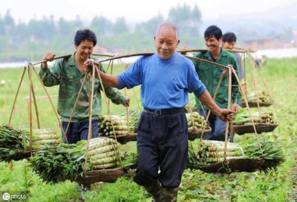 明年农民做什么赚钱最快？