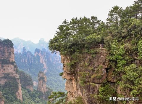 凤凰暑假做什么生意赚钱，创业指南与实用建议