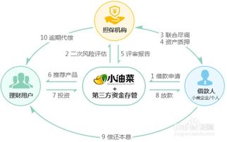 在安海如何选择合适的创业项目，实现财富增值