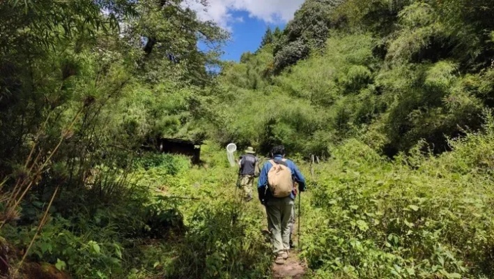 在山上开展的多元化经营生意，探寻自然与商业的和谐共生