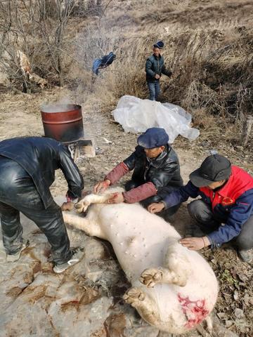 西北农村做什么生意赚钱