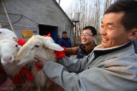 创业失败的人如何重新开始，赚钱的途径和建议