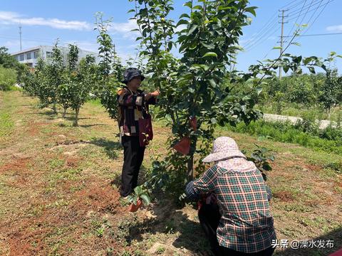 传统与现代交融下的致富秘籍