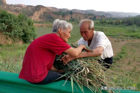 农村人做什么业务赚钱