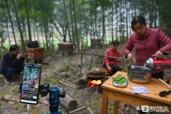 在村里赚钱，探寻项目的宝藏