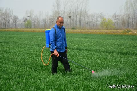 女生在田里做什么赚钱？