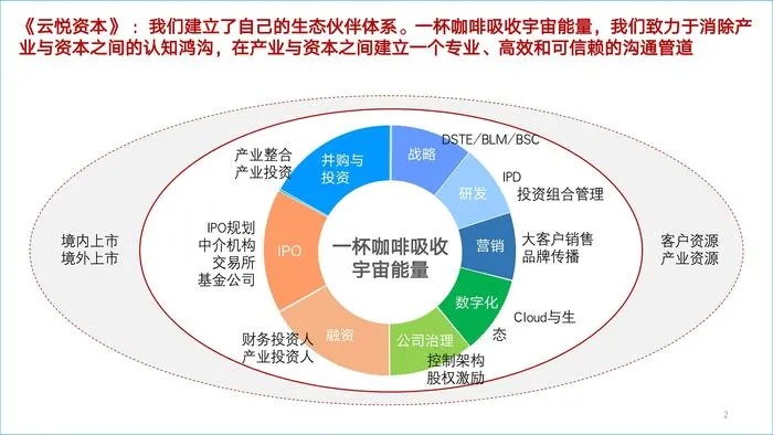 大熊的创业之路，探索多元化业务以实现盈利增长