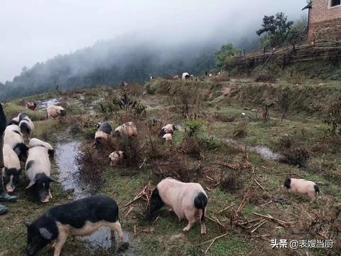 疫情间在家做什么赚钱？