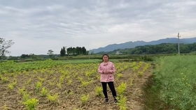 家住农村做什么好赚钱