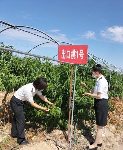 新加坡农民做什么生意赚钱