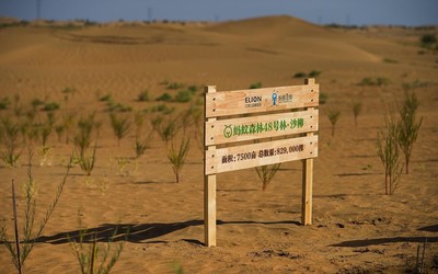 传统与创新交融的商业热土 探寻致富秘籍