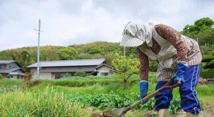 在日本，农民做什么赚钱？