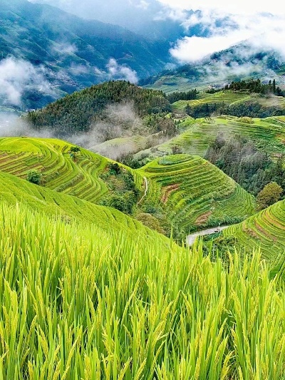 梯田旅游，最好的赚钱方式之一