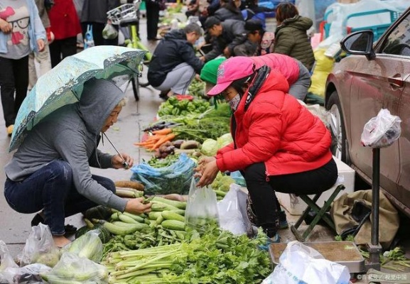 卖菜做什么最好呢赚钱