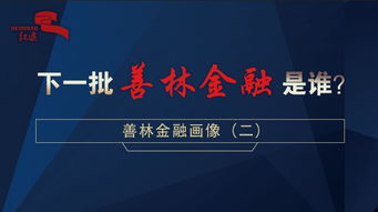 善林金融做什么赚钱？