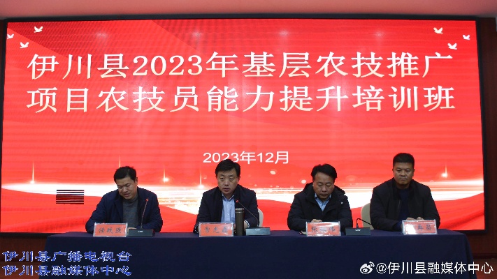 伊川2023年，新机遇下的创业与致富之路