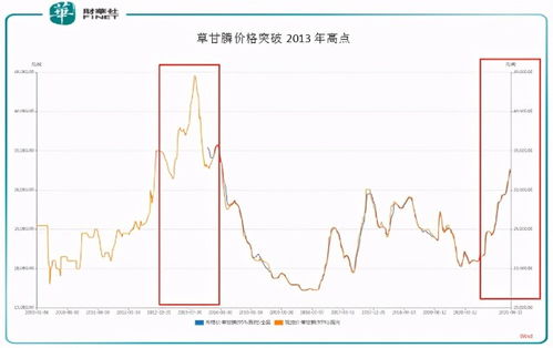 过年三天做什么赚钱—轻松赚取丰厚收益的四大秘籍