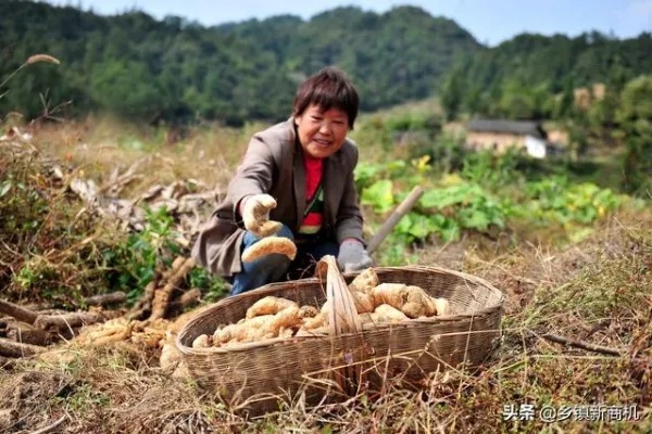 农民做什么生意能赚钱