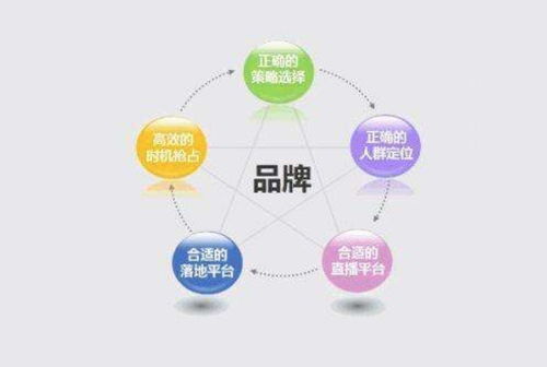 多元化经营模式的成功故事