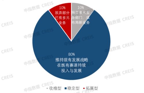 多元化经营模式的成功故事