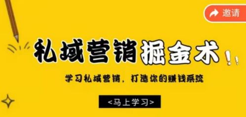 深圳掘金之旅，新手必知的赚钱秘籍