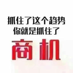 南宁手工赚钱，创意DIY项目助你实现财富梦想