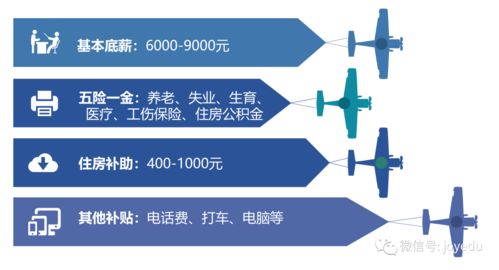 揭秘邻居们的赚钱秘诀，如何在短时间内快速增加收入