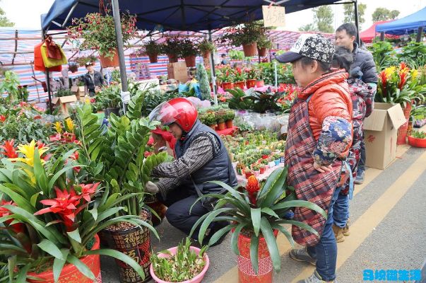 花街做什么赚钱最快？