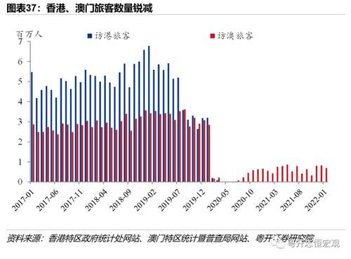 澳门经济发展的新动能，多元化产业布局与创新发展