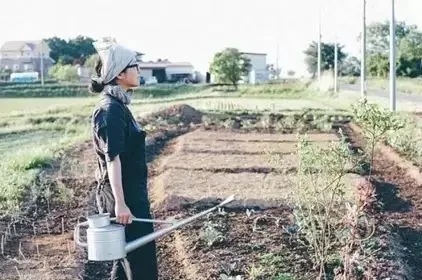 日本农村做什么生意赚钱？