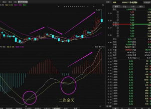 发掘潜力，选择正确的生意模式—探讨如何赚钱大钱