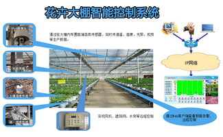 沙土地的可持续利用，从农业到环保产业的多元化发展