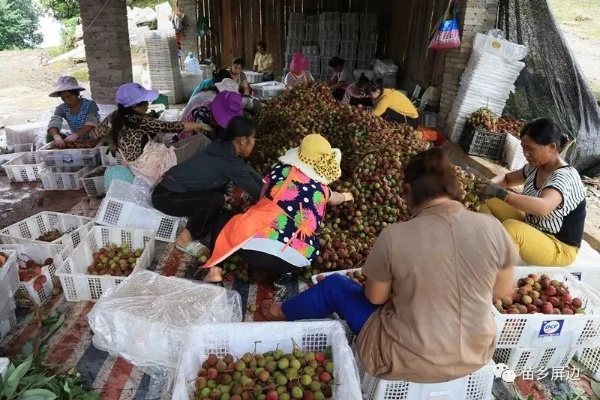 孟连地区做什么生意赚钱？