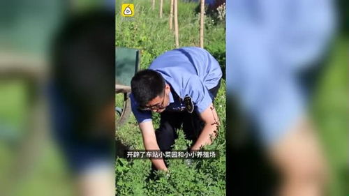 开心农场，如何通过种植和养殖赚取最多收益