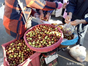 北方早市做什么好赚钱？