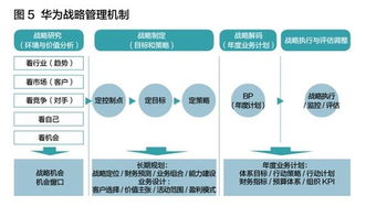 利用小枫实现财富积累，创新方法与商业策略分析